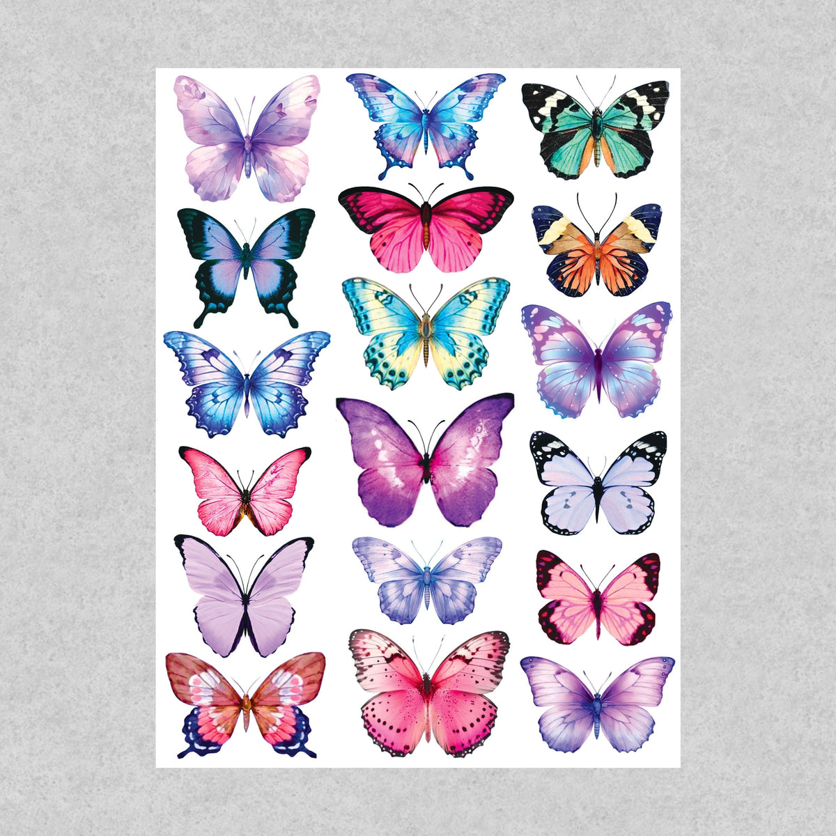Painted Wings
