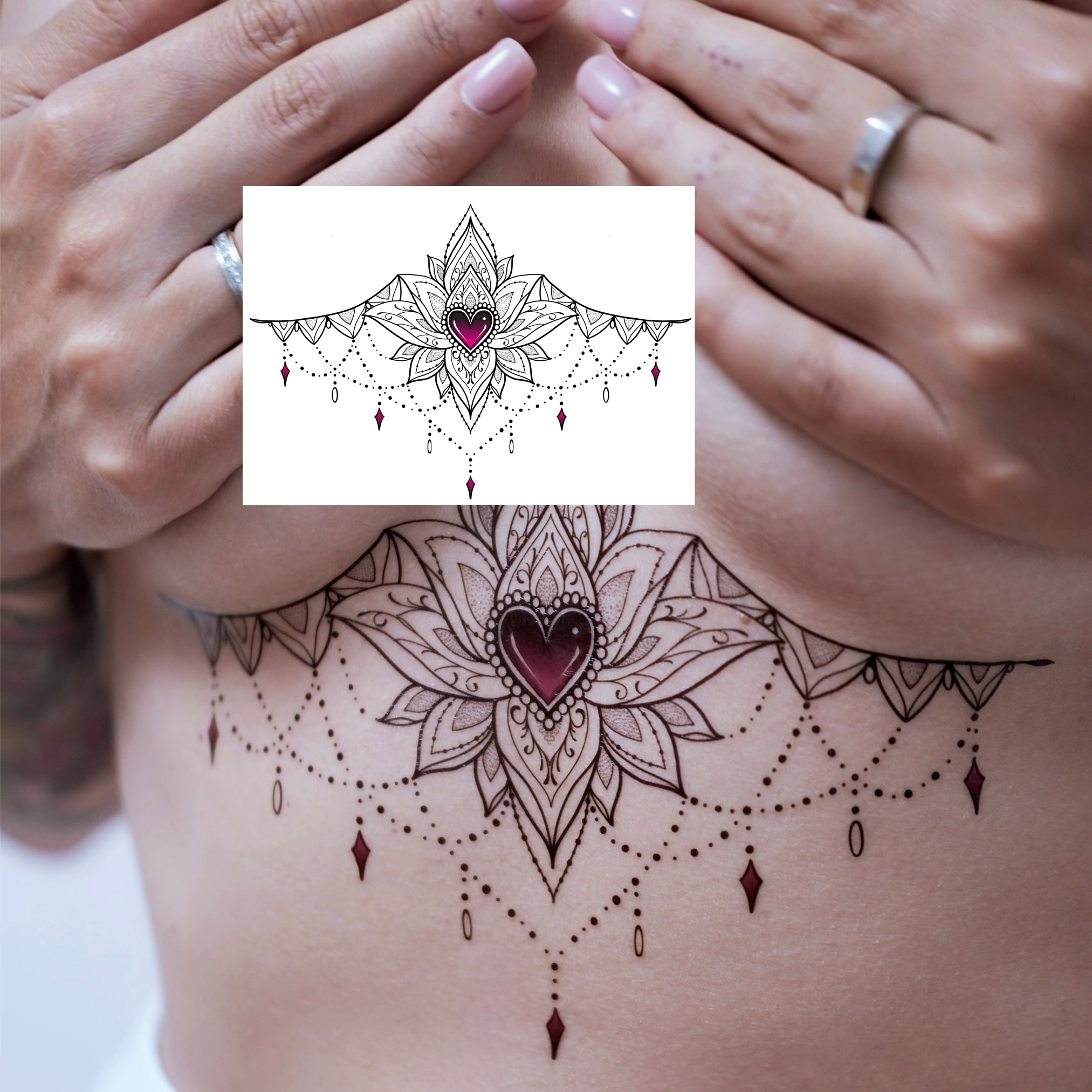 Lotus Reverie