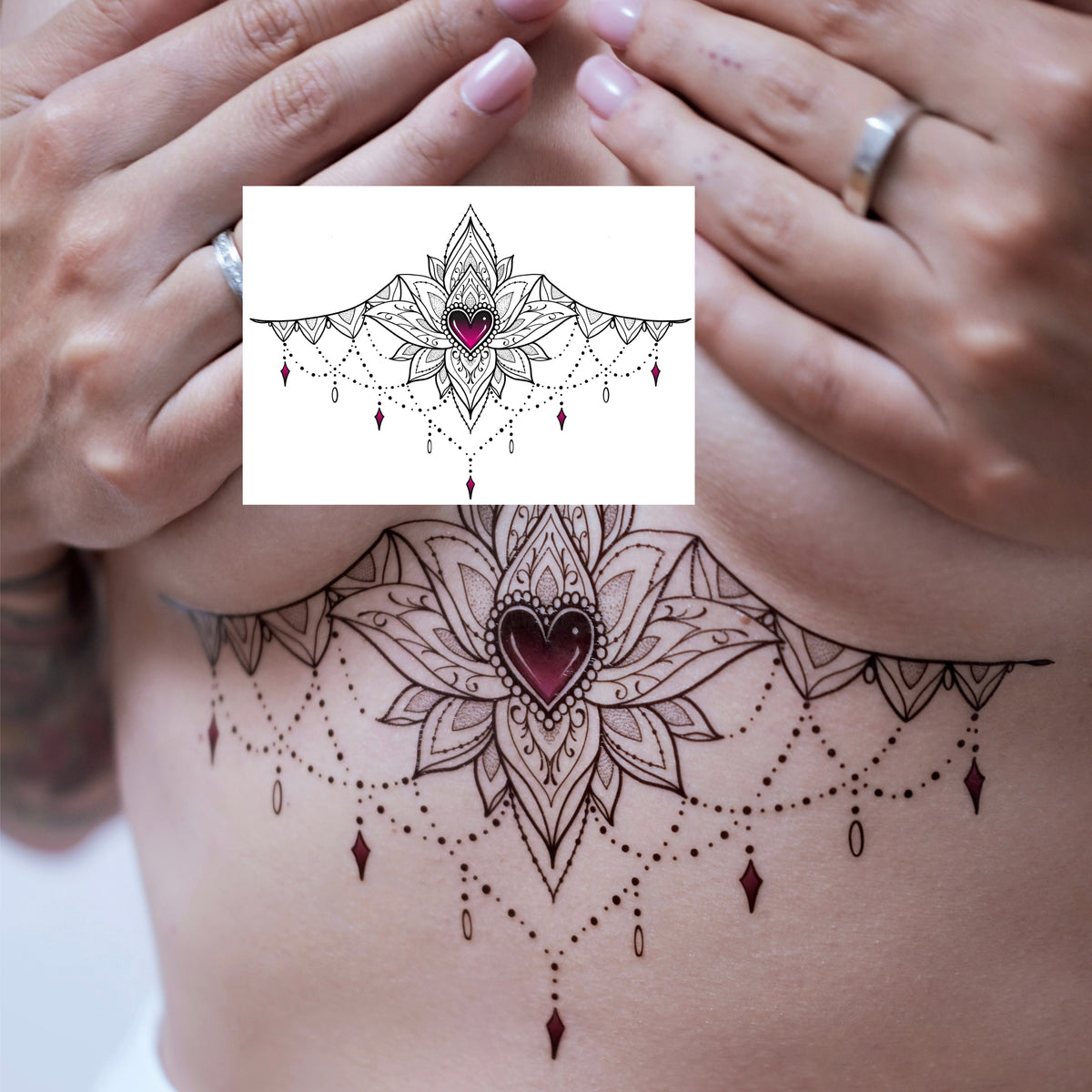 Lotus Reverie